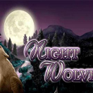Night Wolves